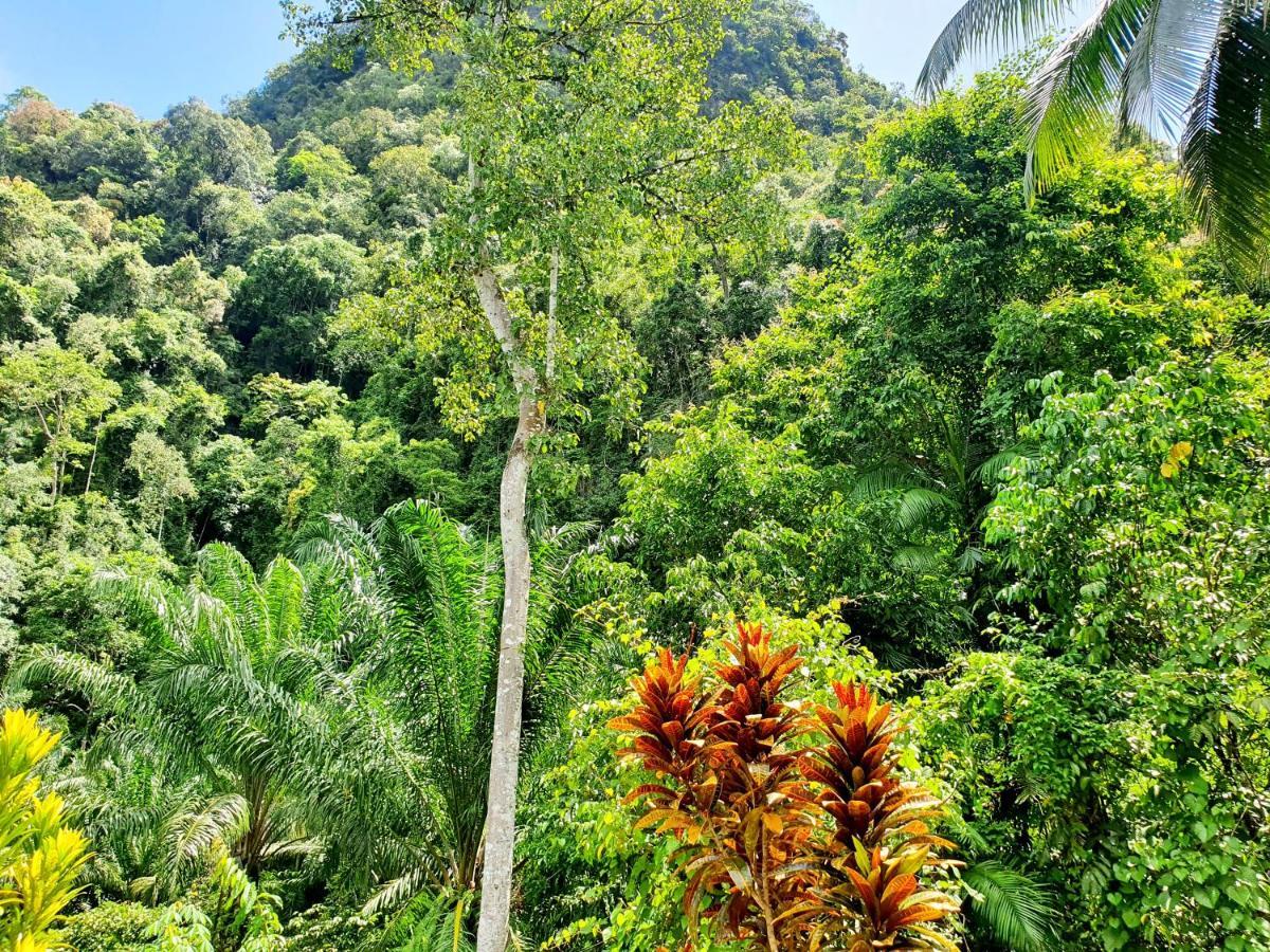 Khao Sok Silver Cliff Resort Khao Sok National Park Номер фото