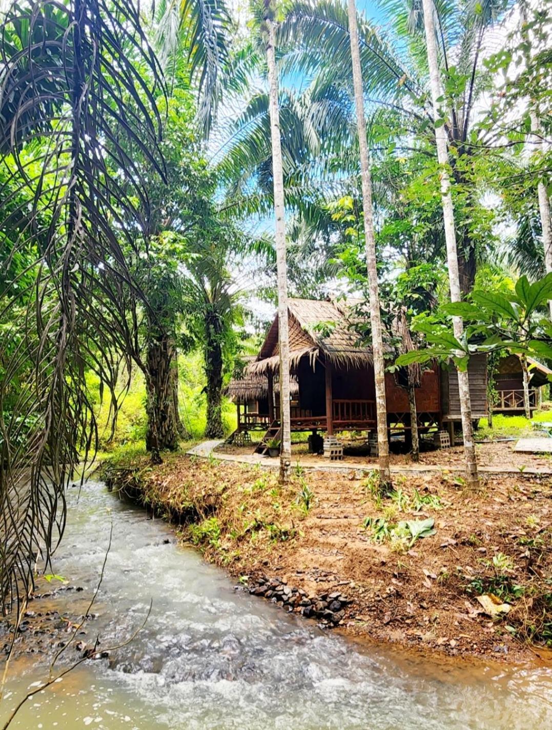 Khao Sok Silver Cliff Resort Khao Sok National Park Номер фото
