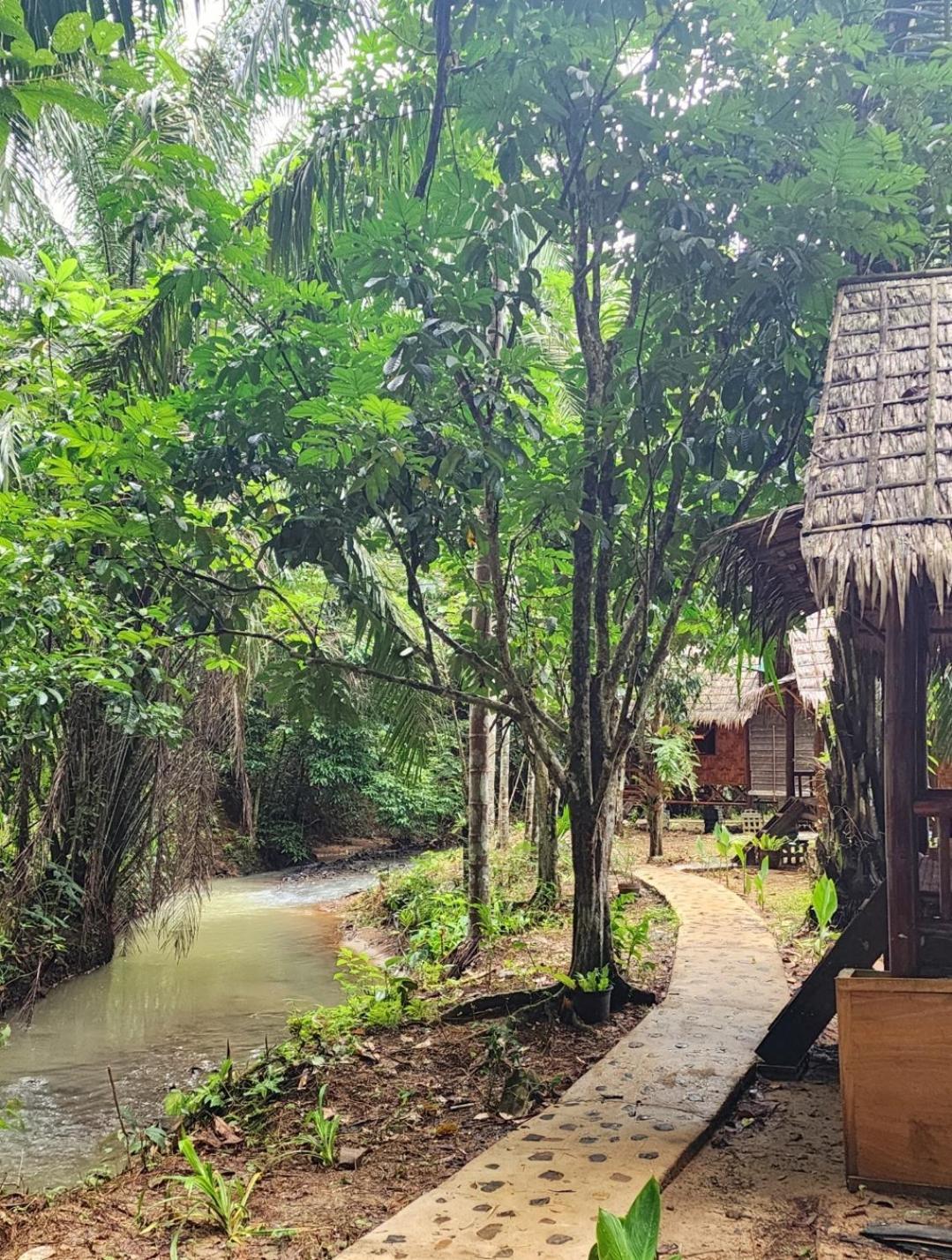 Khao Sok Silver Cliff Resort Khao Sok National Park Номер фото