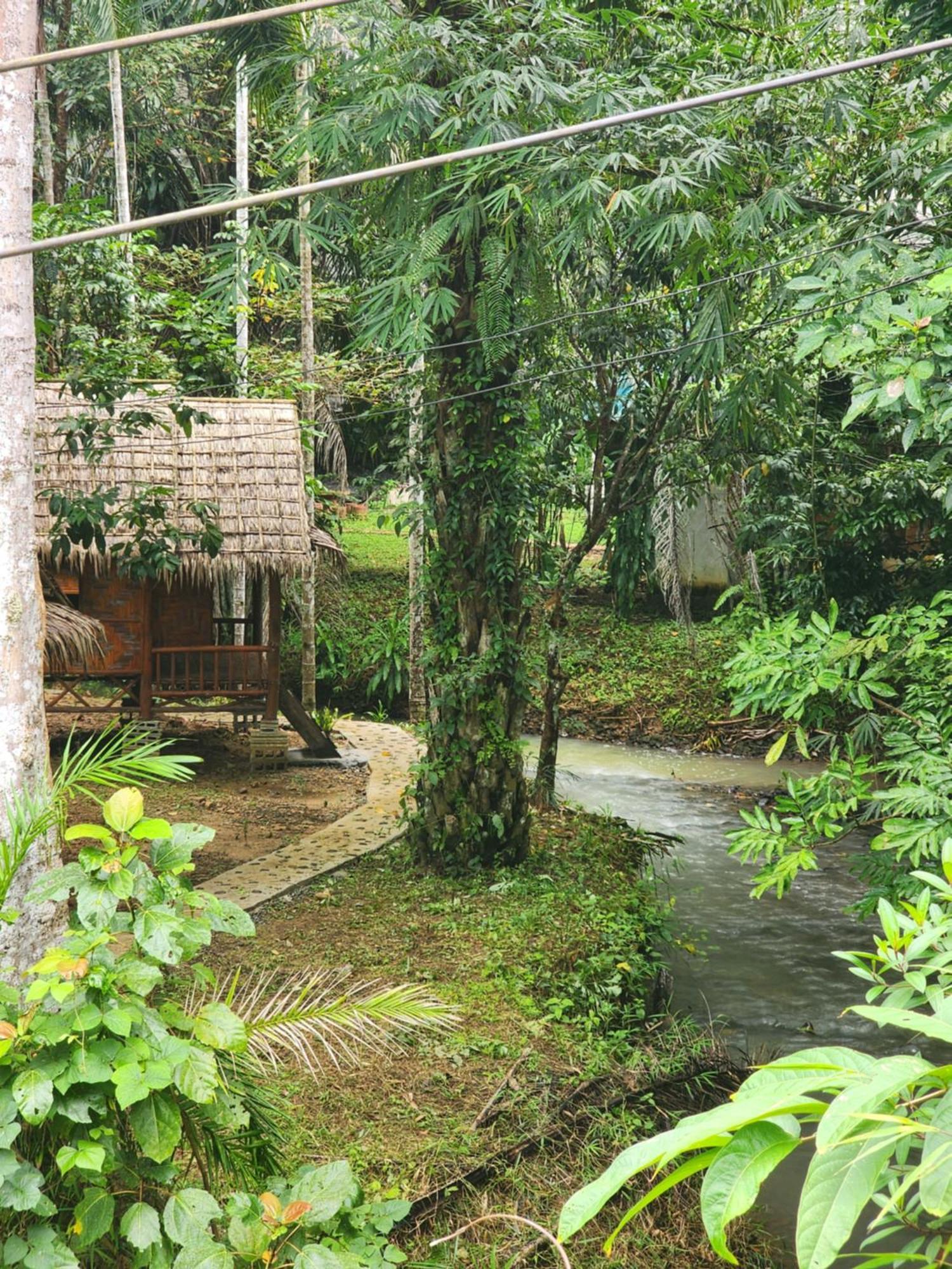 Khao Sok Silver Cliff Resort Khao Sok National Park Номер фото